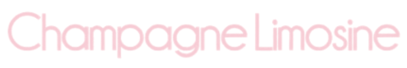 Name Font Selection