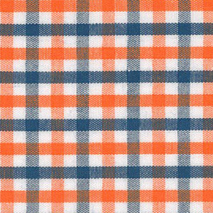 Fabric - Multi-Color Check
