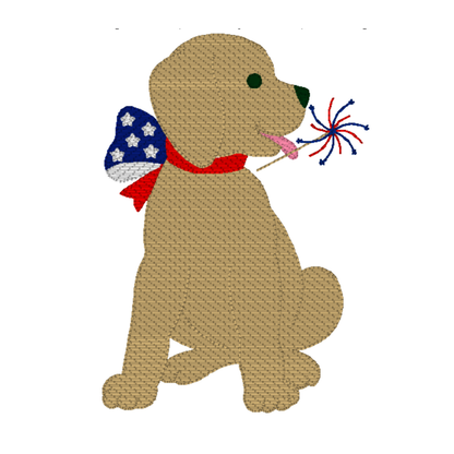 Stars & Stripes Embroidery Clothing