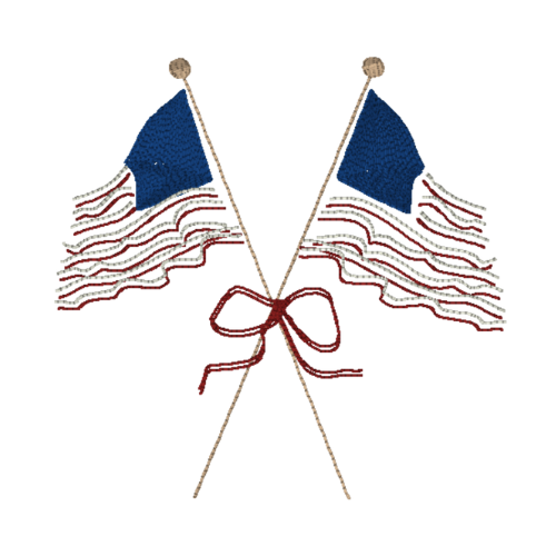 USA Cocktail Napkins (Set of 4)