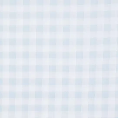 Fabric - Gingham & Seersucker